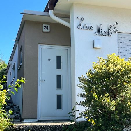 Haus Nicole Apartment Herrischried Luaran gambar