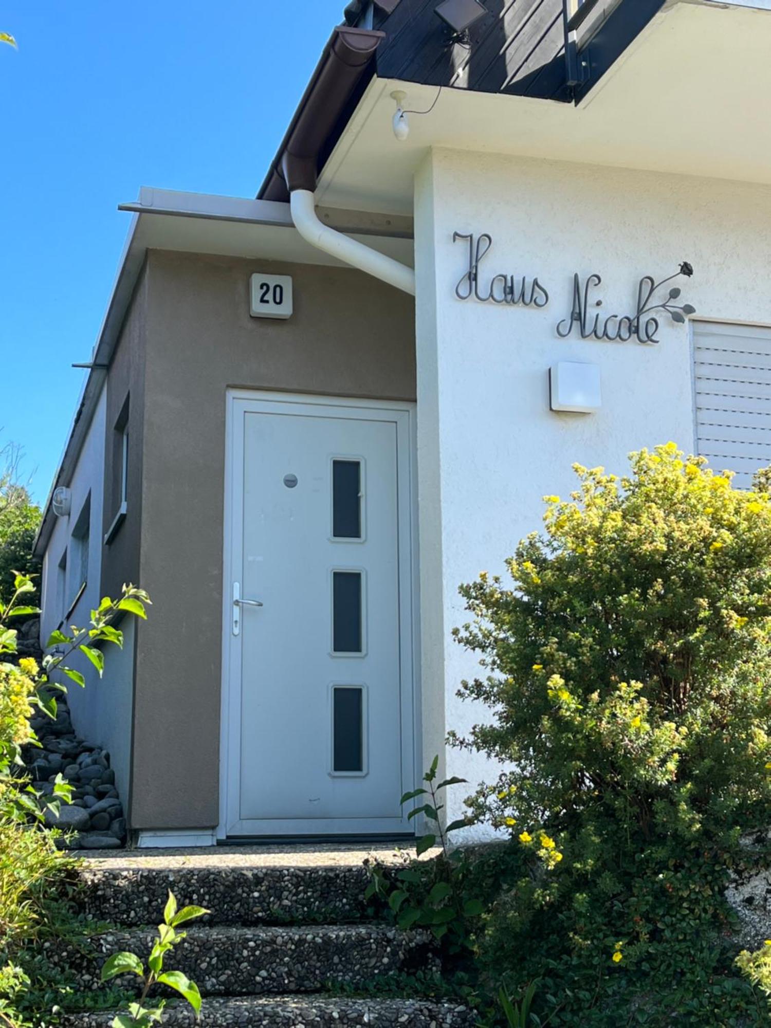 Haus Nicole Apartment Herrischried Luaran gambar
