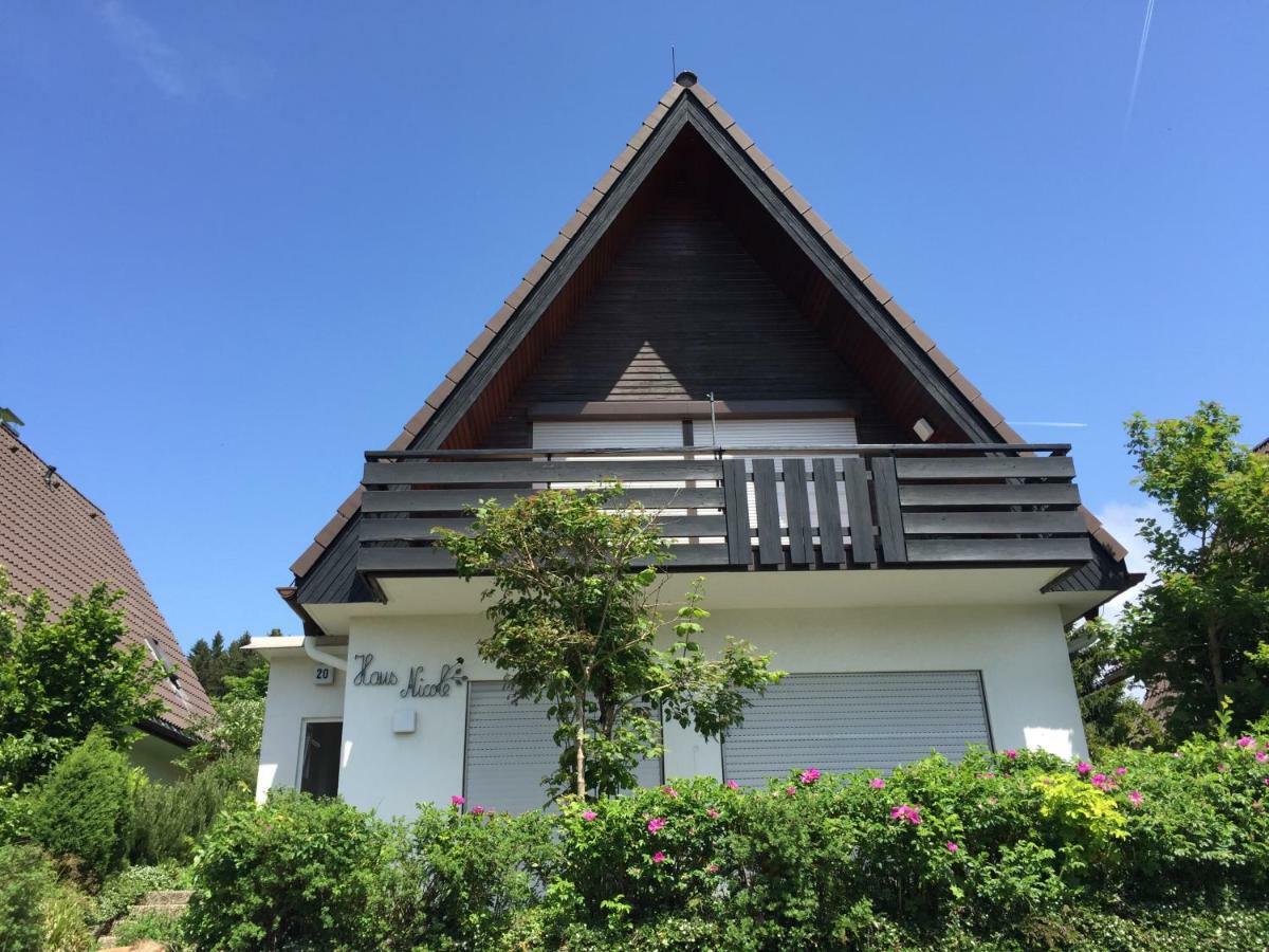 Haus Nicole Apartment Herrischried Luaran gambar