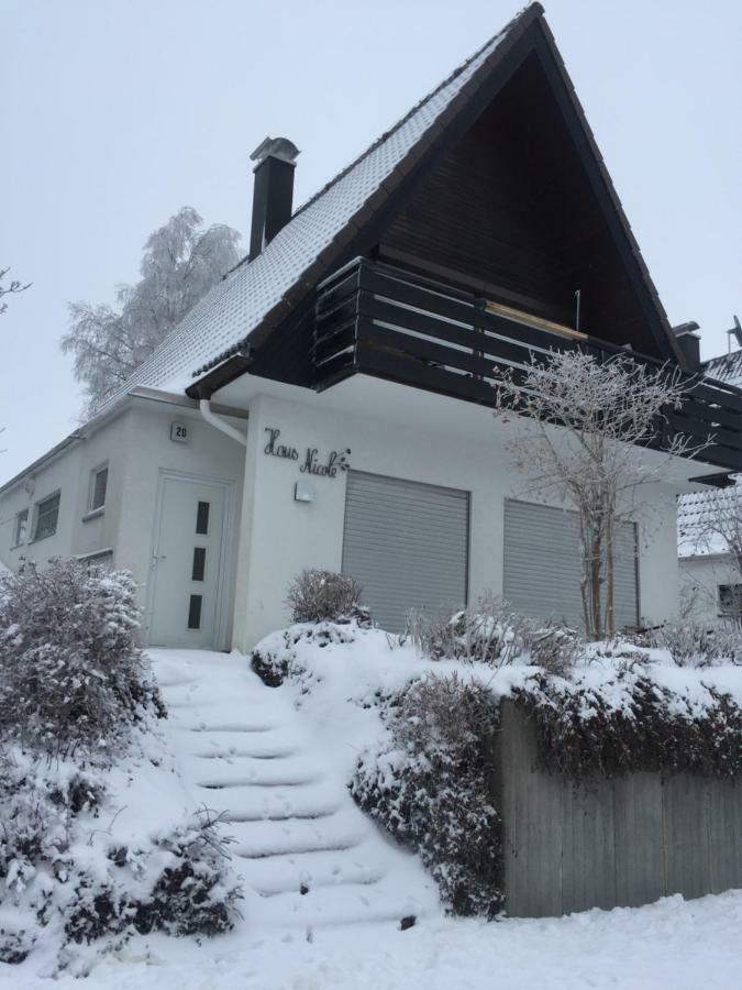 Haus Nicole Apartment Herrischried Luaran gambar